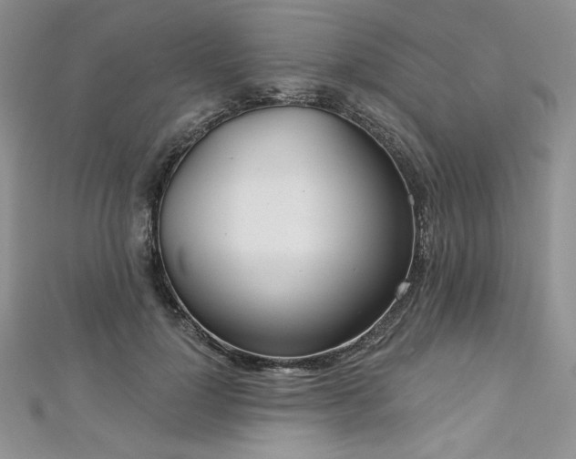 X0000113180748200909041343