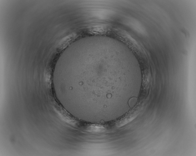 X0000113180749200909041343
