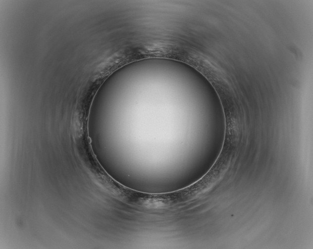 X0000113180751200909041343