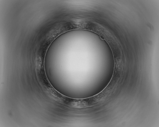 X0000113180752200909041343
