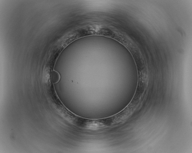 X0000113180754200909041343