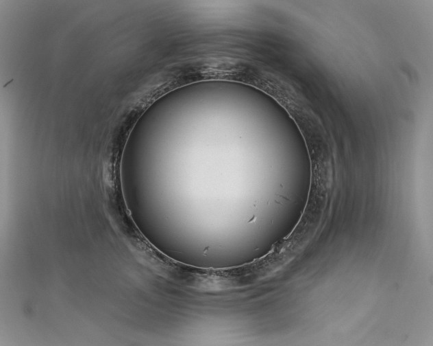 X0000113180755200909041343