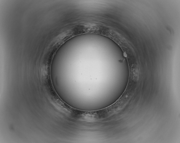 X0000113180756200909041343