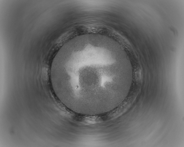 X0000113180757200909041343