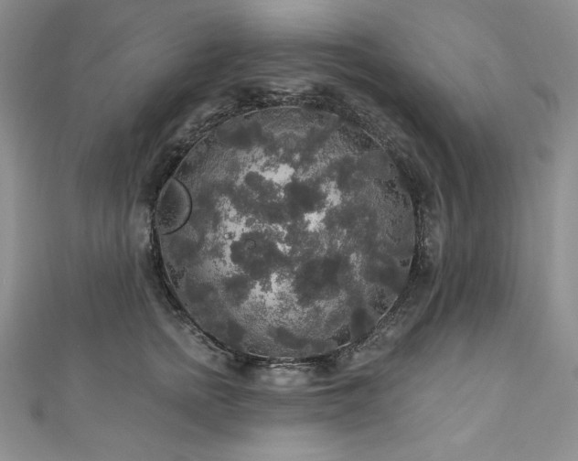 X0000113180758200909041343