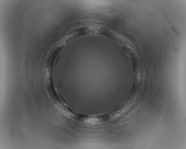 X0000113180759200909041343