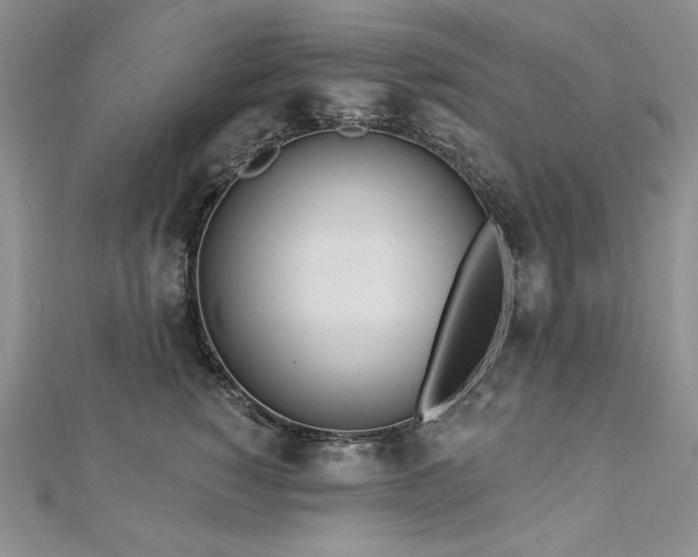 X0000113180760200909041343