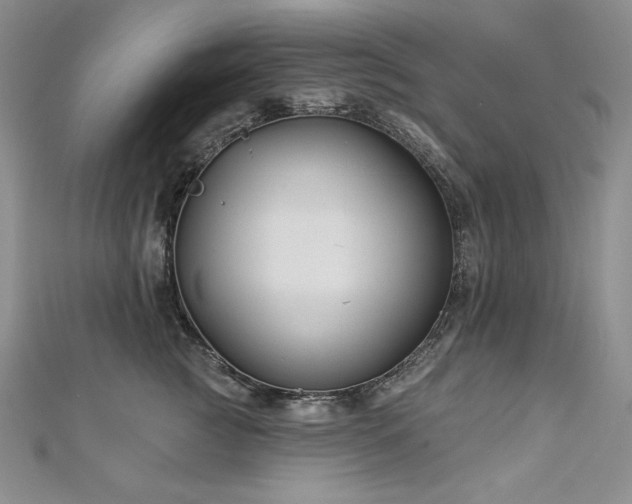 X0000113180761200909041343