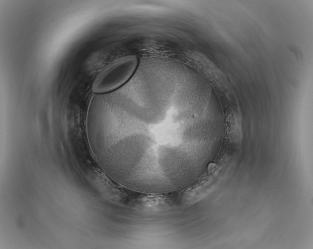X0000113180762200909041343