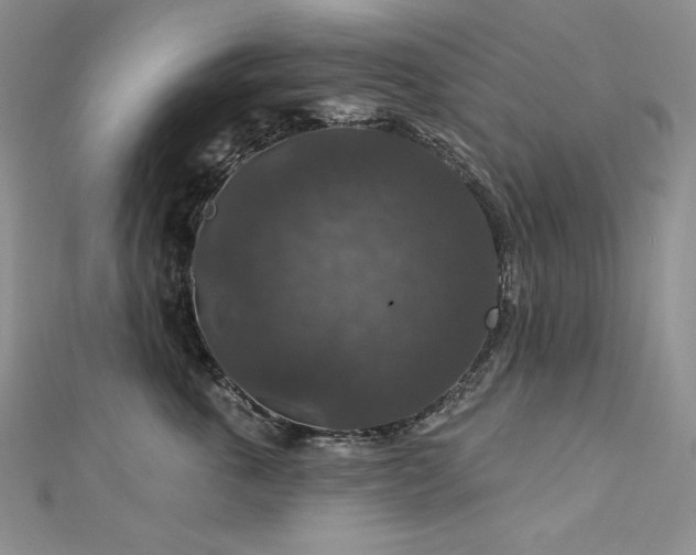 X0000113180763200909041343