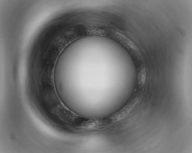 X0000113180764200909041343