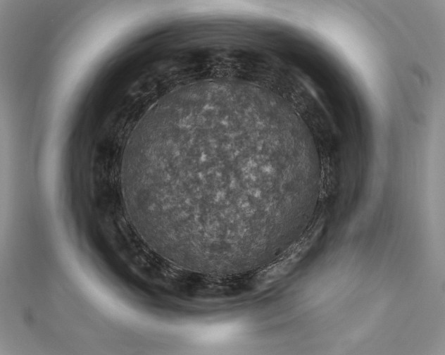 X0000113180765200909041343