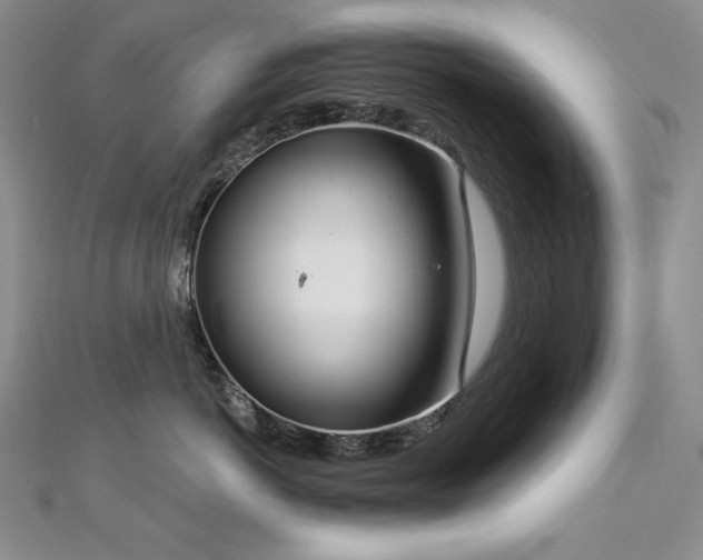 X0000113180766200909041343
