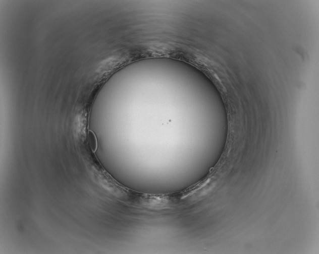 X0000113180768200909041343