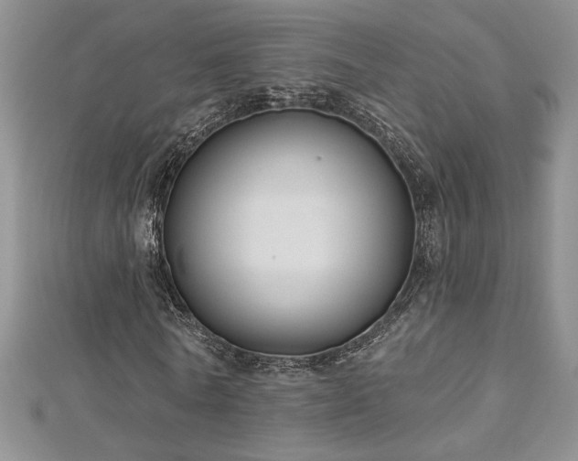 X0000113180770200909041342