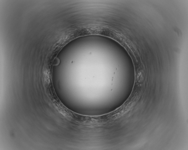 X0000113180772200909041342