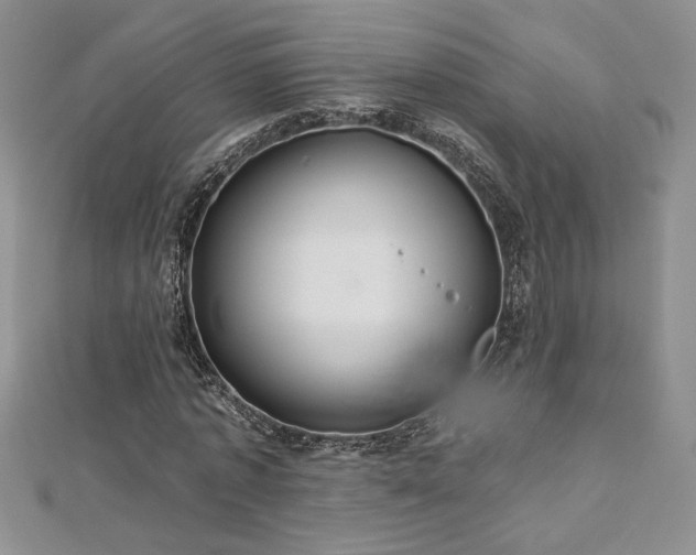 X0000113180773200909041342