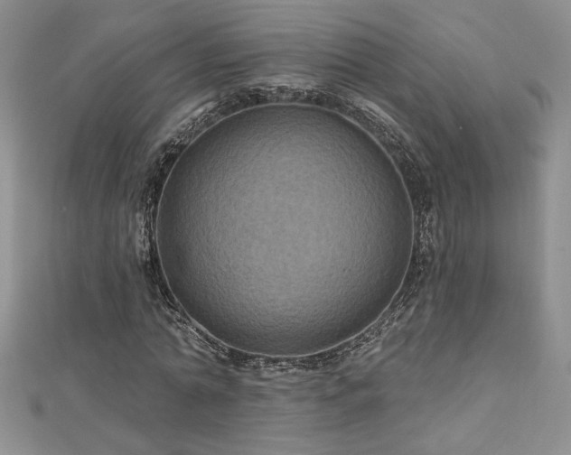 X0000113180774200909041342