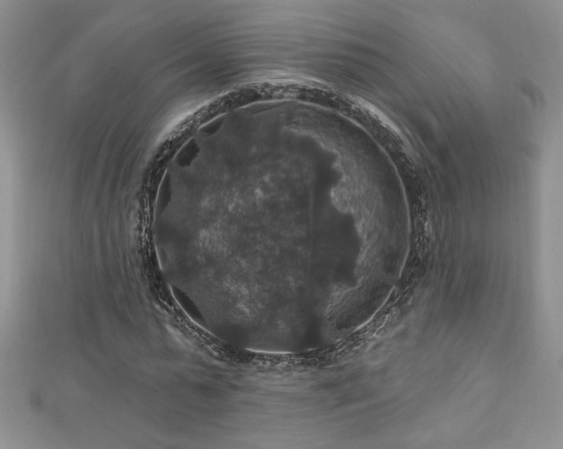 X0000113180775200909041342