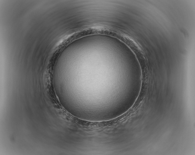 X0000113180776200909041342
