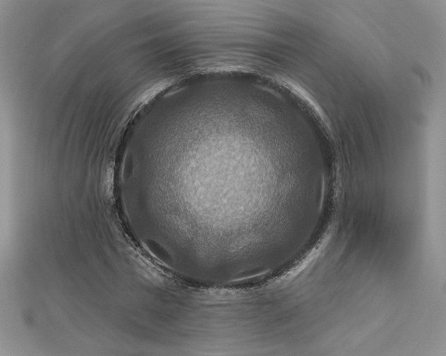 X0000113180777200909041342