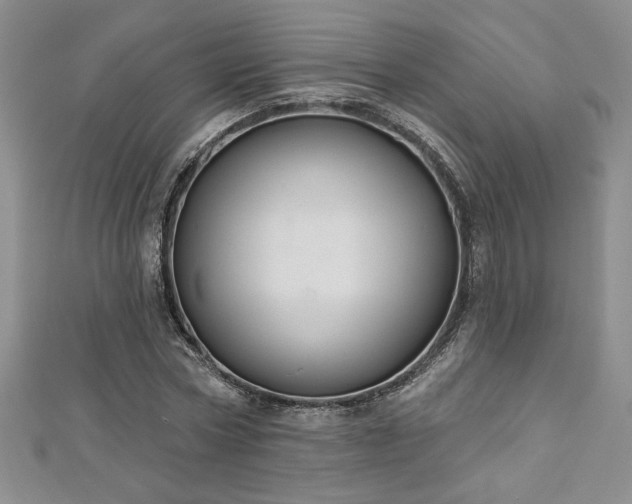 X0000113180778200909041342