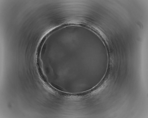 X0000113180779200909041342