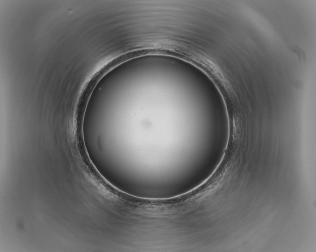 X0000113180780200909041342