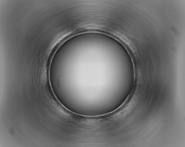 X0000113180782200909041342