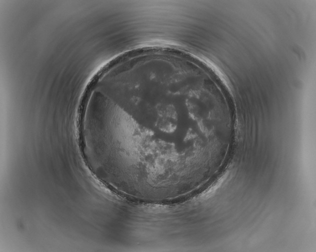 X0000113180783200909041342