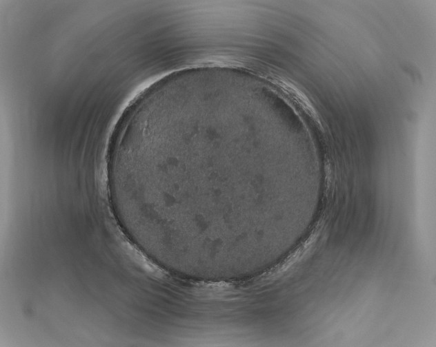 X0000113180784200909041342