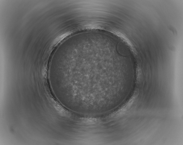 X0000113180785200909041342