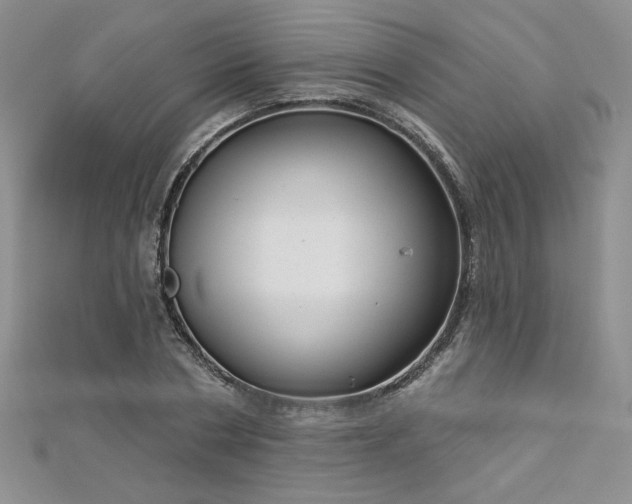 X0000113180786200909041342