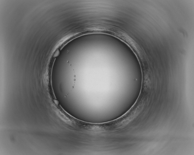 X0000113180787200909041342