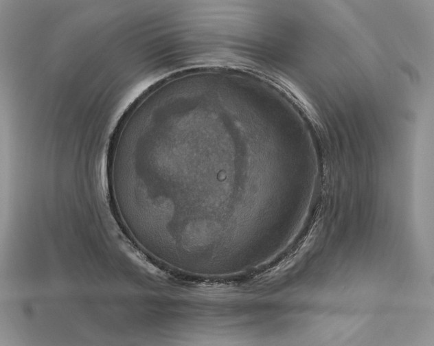 X0000113180788200909041342