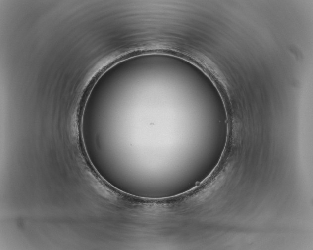 X0000113180789200909041342