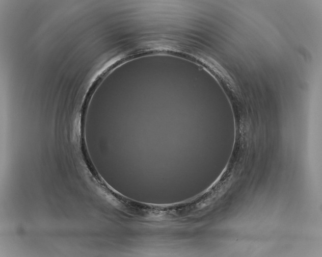 X0000113180790200909041342