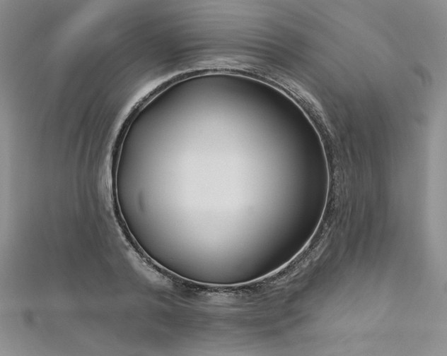 X0000113180792200909041342
