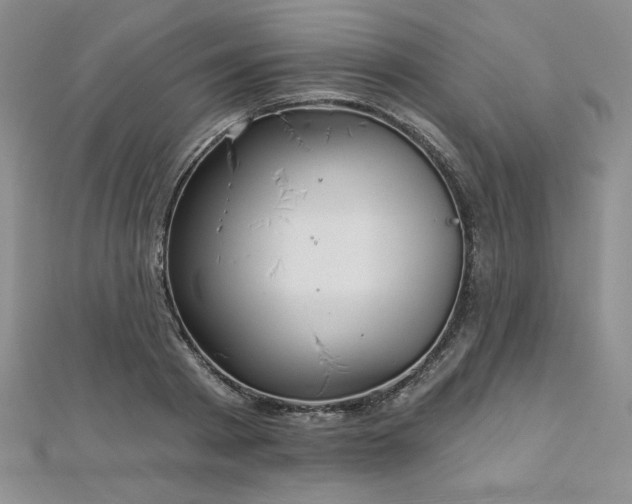 X0000113180793200909041342