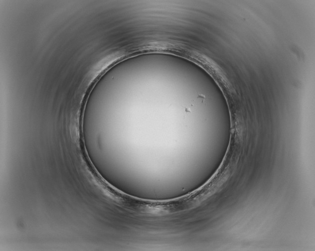 X0000113180794200909041342