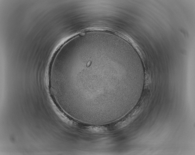 X0000113180795200909041342