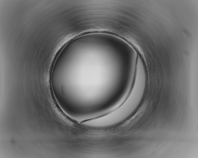 X0000113180797200909041342