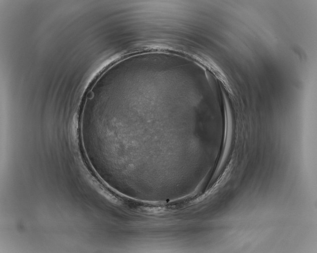 X0000113180798200909041342