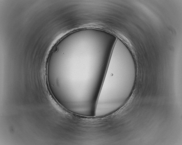 X0000113180800200909041342