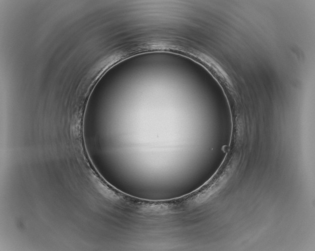 X0000113180801200909041342