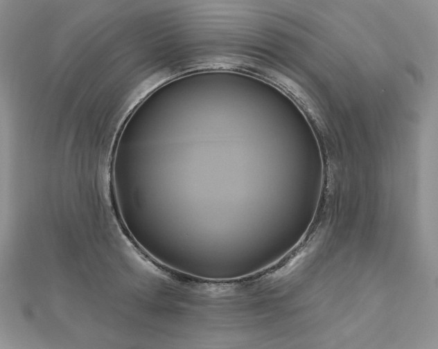 X0000113180802200909041342