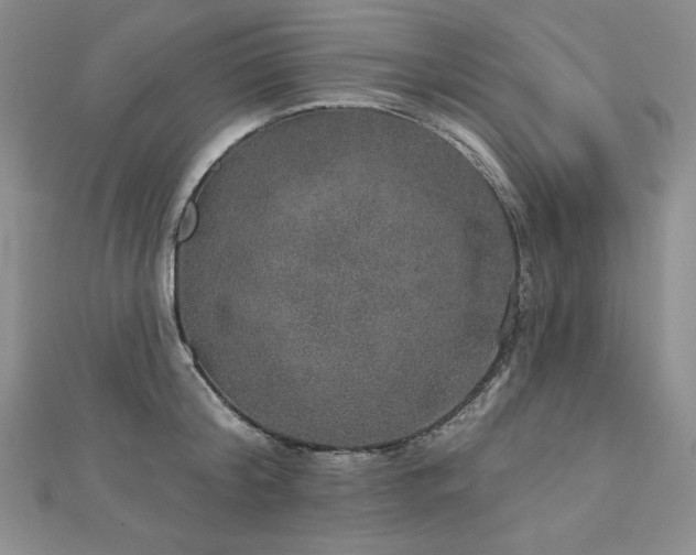 X0000113180804200909041342