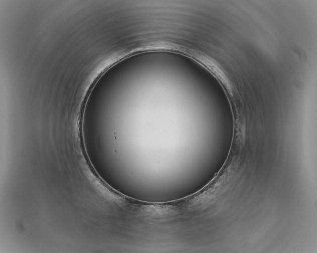 X0000113180805200909041342