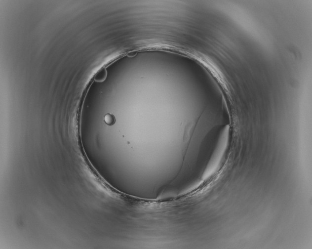 X0000113180806200909041342