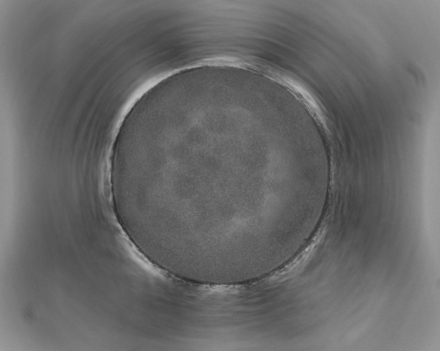 X0000113180808200909041342